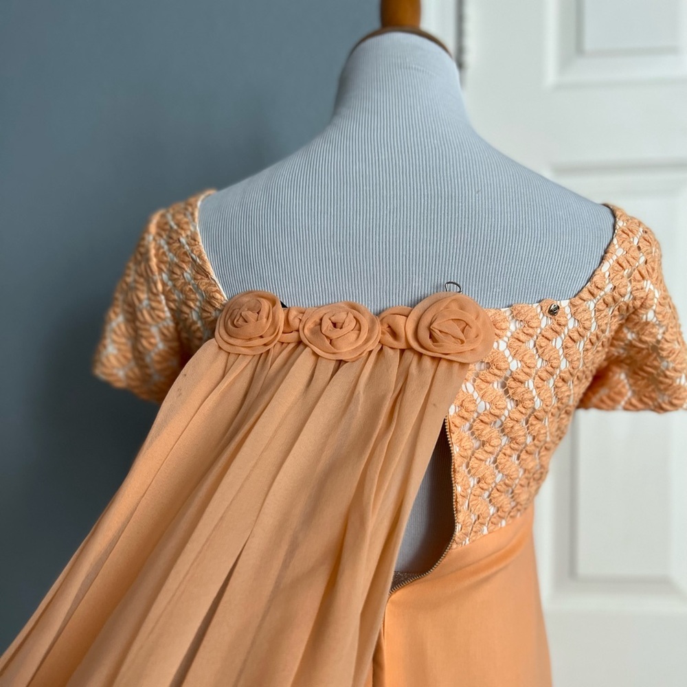 Vintage 60s Short Sleeve Peach Chiffon Empire Waist Maxi Sheath Dress ILGWU - Picture 7 of 11